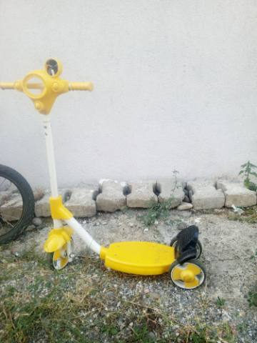 Scoter